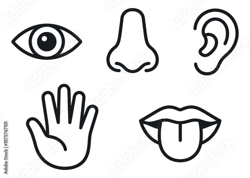 Line art five senses icons set featuring an eye, nose, ear, hand, and tongue for sensory perception and education