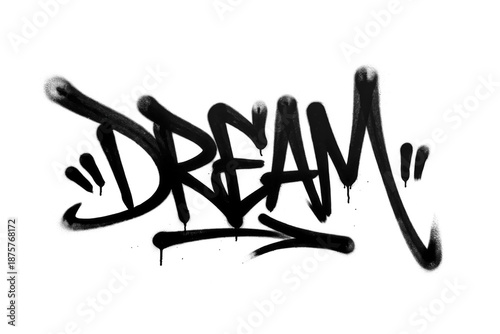 Obraz na plátně Graffiti Spray Paint Overlay
