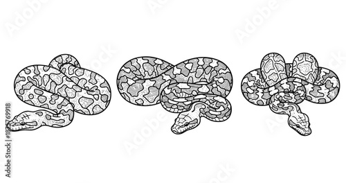 Three intricately patterned snakes in black and white line art illustration
