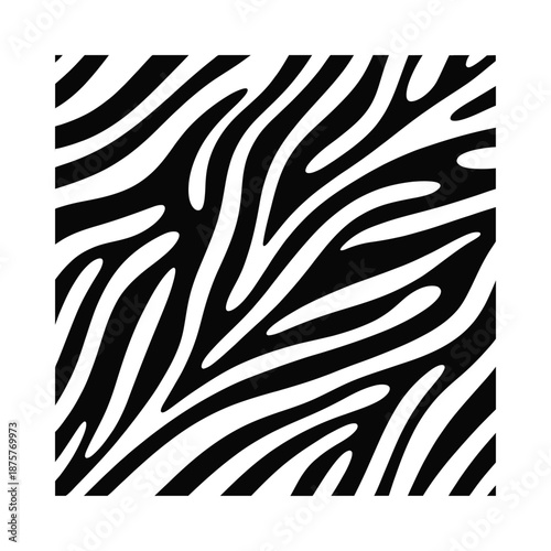 a black and white zebra print pattern on a square