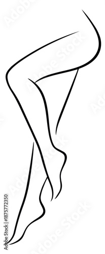 Line art illustration of female legs depicting an elegant pose for beauty concepts
