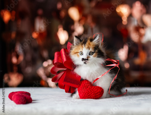 portrait of a fluffy playful kitten with red hearts and a Valentine's Day bow...
