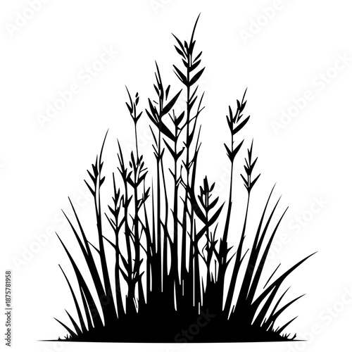 A green silhouette of grass and spring wheat plants isolated on white, depicting growth in a summer nature meadow or agricultural farm field during the cereal grain harvest