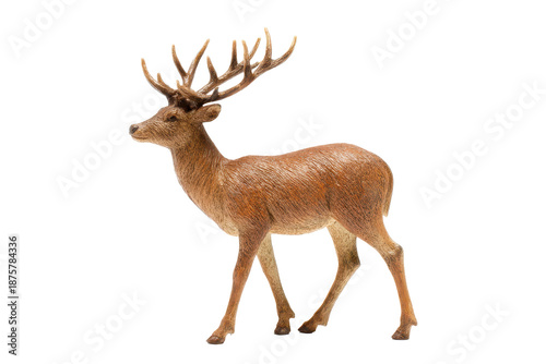 Small deer stag with branching antlers and warm brown coat, standing pose with defined hooves and natural fur texture, isolated on transparent background.
