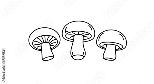 Group of three fresh white mushrooms with brown gills shown in a simple black and white line art illustration style.