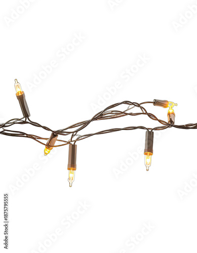 A string of warm white incandescent mini lights glows against a pure black background.
