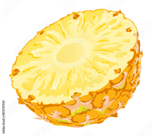 Fresh juicy pineapple half cut fruit vector illustration