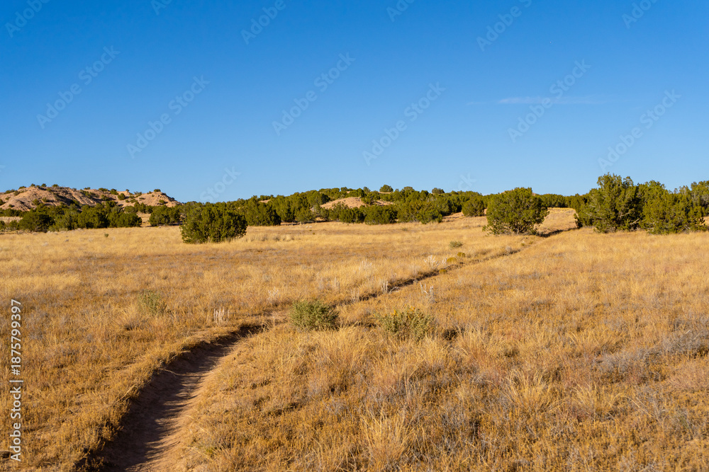 Fototapeta premium The Nambe Badlands glow under a warm golden hour light in New Mexico. Eroded sandstone formations and winding trails offer dramatic views toward the majestic Sangre de Cristo Mountains.
