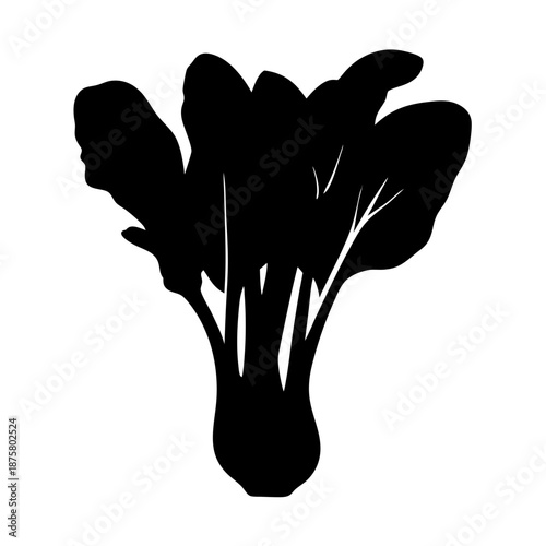 Black bok choy vector illustration chinese cabbage healthy eating asian vegetable fresh produce food icon 90