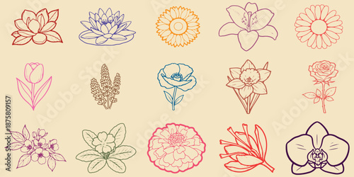 A collection of various colorful flower illustrations on a beige background