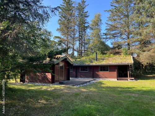 wooden house in the forest