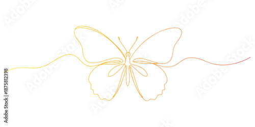 Continuous one line of a butterfly with wings spread, animal world and wildlife, drawn vector illustration.