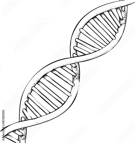 Illustration of a double helix structure Vector