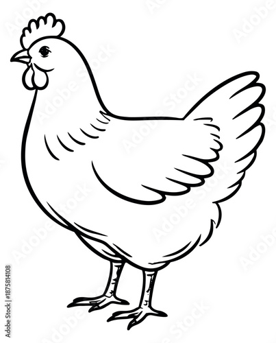 Hand drawn line art illustration of a chicken depicting a standing hen for farm and food concepts