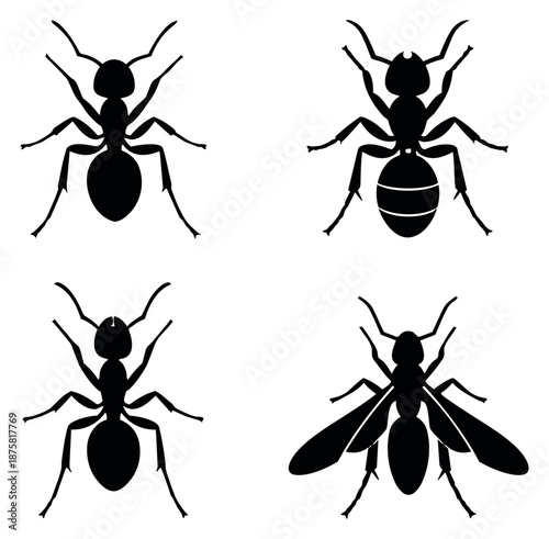 Silhouette ant set featuring different ant types for nature and pest control concepts