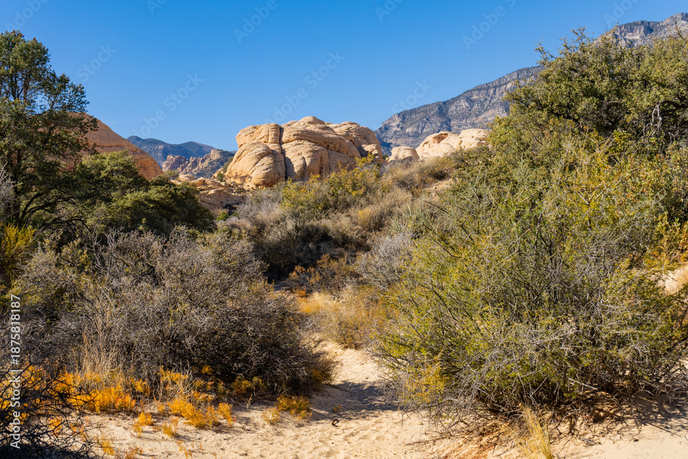 Φωτογραφία Vibrant red and white sandstone formations line the Calico Tanks Trail at Red Rock Canyon near Las Vegas