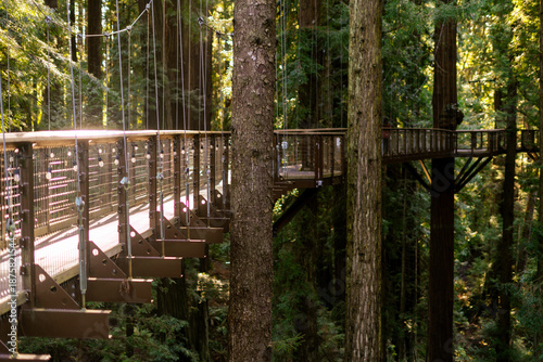 The Redwood Sky Walk at Sequoia Park Zoo features a network of suspended bridges and platforms reaching 100 feet into the canopy of an old-growth redwood forest in Eureka, California.