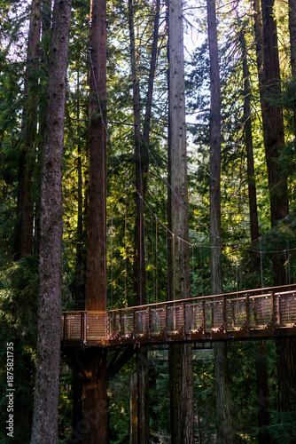 The Redwood Sky Walk at Sequoia Park Zoo features a network of suspended bridges and platforms reaching 100 feet into the canopy of an old-growth redwood forest in Eureka, California.