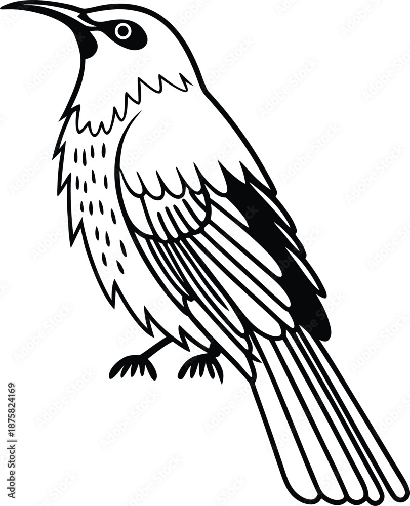 Fototapeta premium nightingale standing silhouette vector illustration 