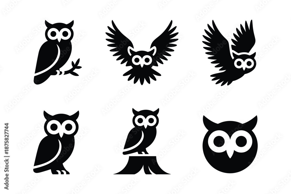 Fototapeta premium Set of Black Owl Silhouettes in Different Standing and Flying Poses