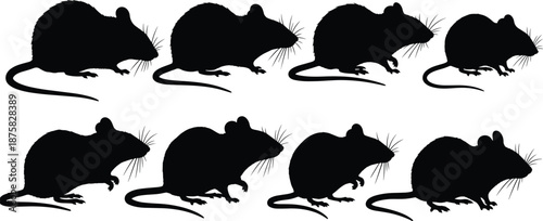 Black silhouettes of mice in various positions mouse rodents