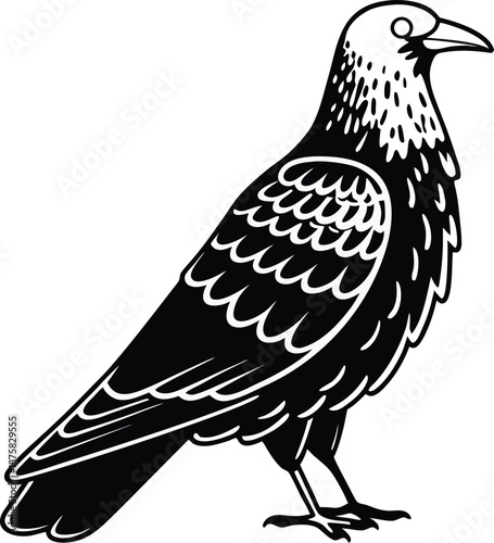 pigeon standing silhouette vector illustration
