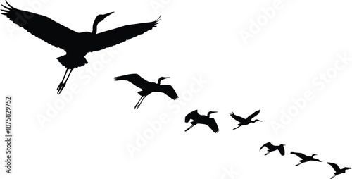 Black silhouettes of birds flying in formation bird silhouettes flying birds black and white