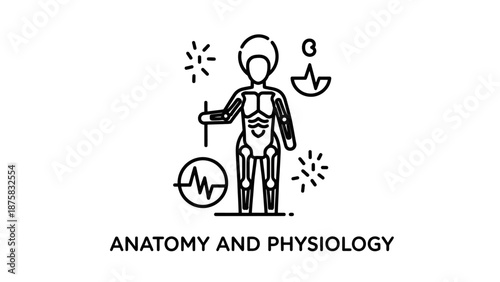 Human Anatomy and Physiology Line Icon: Muscular System, Heartbeat, DNA