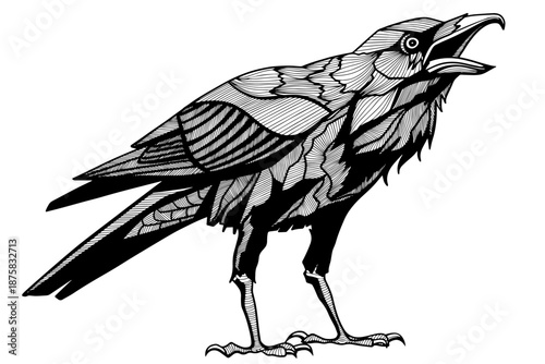 Vector illustration of a raven in dark graphic style. Black and white bird with detailed feathers, mystical and gothic aesthetic, isolated on white background.