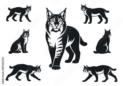 Stylized lynx set featuring the wild animal in different poses for wildlife and emblem designs