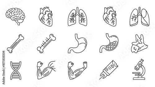 Human Anatomy Icons: Brain, Heart, Lungs, Stomach, Bones, DNA, Muscles, Syringe, Microscope