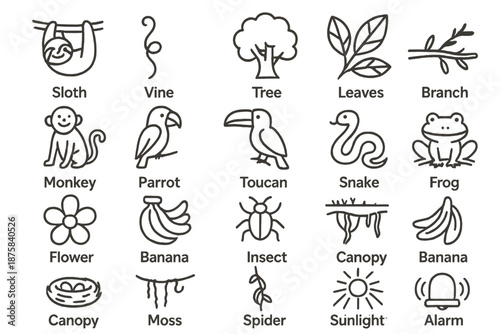 Rainforest Adventure Icons. Line style icons of rainforest adventure: Sloth, Vine, Tree, Leaves, Branch, Monkey, Parrot, Toucan,