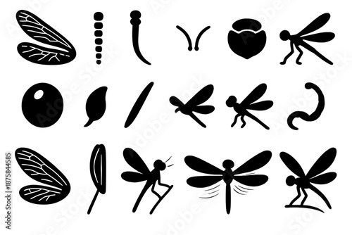 Dragonfly Anatomy Icons. Solid style icons of Dragonfly Anatomy: delicate wing, segmented body, antenna line, thorax plate,