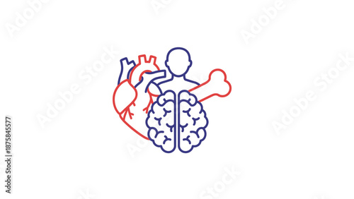 Human Anatomy Icons: Heart, Brain, Skeleton, and Figure representing health and science