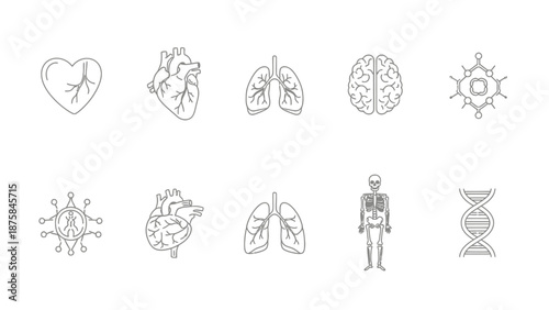 Human Anatomy Icons: Heart, Lungs, Brain, Skeleton, DNA, Virus Icons