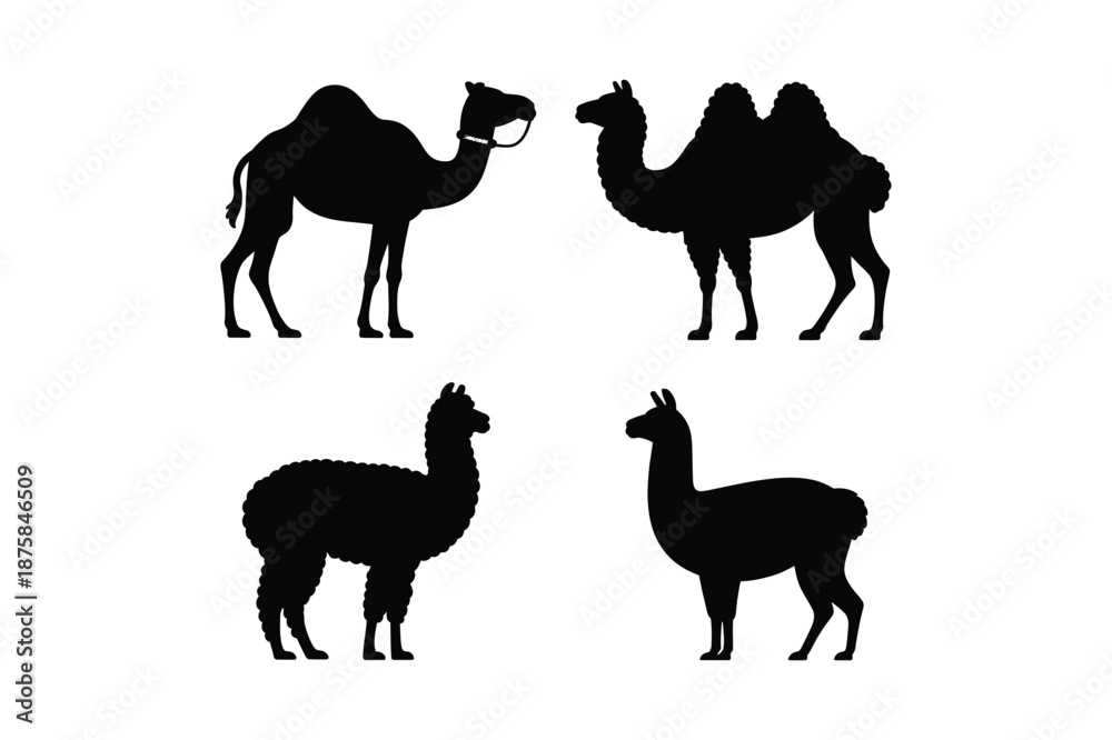 Obraz premium Camelid silhouettes including camels llamas and alpacas