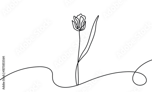 Continuous line tulip drawing for Mother's Day cards. Minimalist floral sketch with elegant outline style, ideal for modern moms greeting designs, botanical art prints.