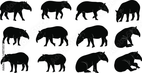 Black tapir silhouette collection featuring multiple poses and walking, standing, sitting views isolated on white background, tropical wildlife mammal vector illustration set