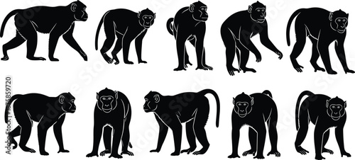 Collection of black monkey silhouette illustrations showing walking standing and crouching poses isolated on white background wildlife primate vector set design elements bundle