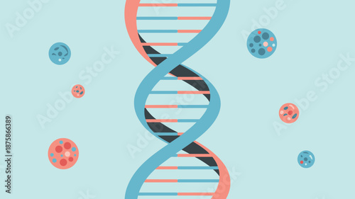 Illustrated dna helix with cells Vector