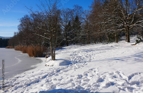 Wallpaper Mural Die wunderschöne winterliche Landschaft rund um den Bruchsee bei Duingen in Niedersachsen an einem sonnigen Wintertag  Torontodigital.ca