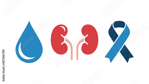 Kidney health awareness Vector