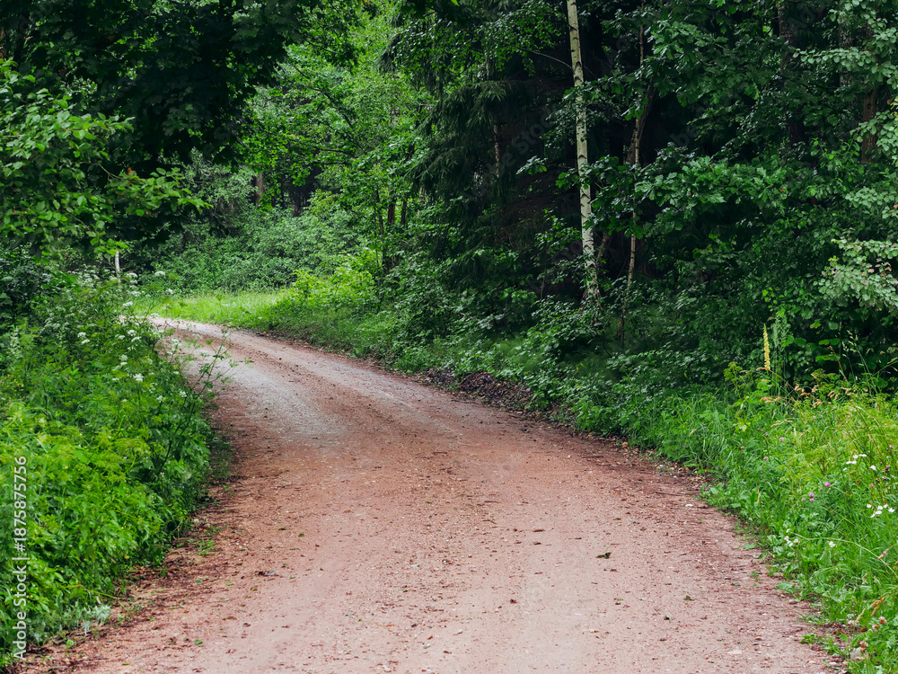 Obraz premium A dirt road with trees in the background. The road is narrow and winding. The trees are green and lush. Nature scene in rural forest area. Nobody. Transportation in a country side.