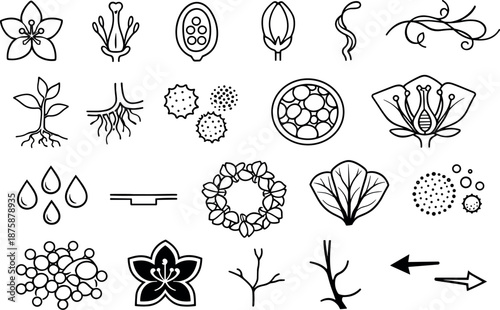 Parasitic Angiosperm Icons. Line style icons of parasitic angiosperms without stems or leaves: flower outline, petals, stigma and
