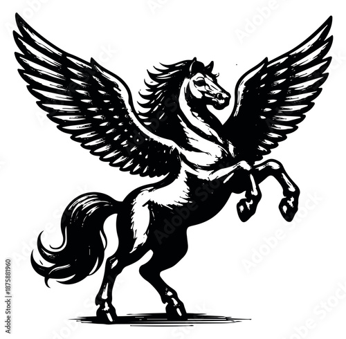 Hand drawn illustration of pegasus depicting a powerful rearing pose for mythology and fantasy projects