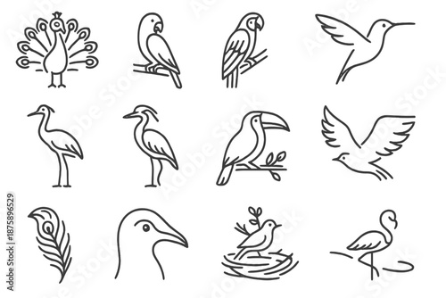 Exotic Bird Line Art. Line style icons of Exotic Birds: peacock, parrot, macaw, hummingbird, crane, heron, toucan, pheasant, dove,