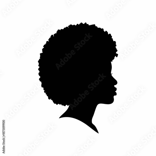 Silhouette Profile of an African American Woman with Afro Hairstyle