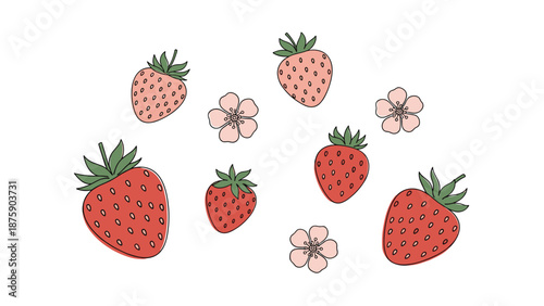 Lovely collection of ripe red strawberries and delicate pink strawberry blossoms isolated on a clean white background.