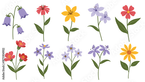 Selection of various colorful wildflower stems with green leaves arranged in a neat grid for botanical illustration.