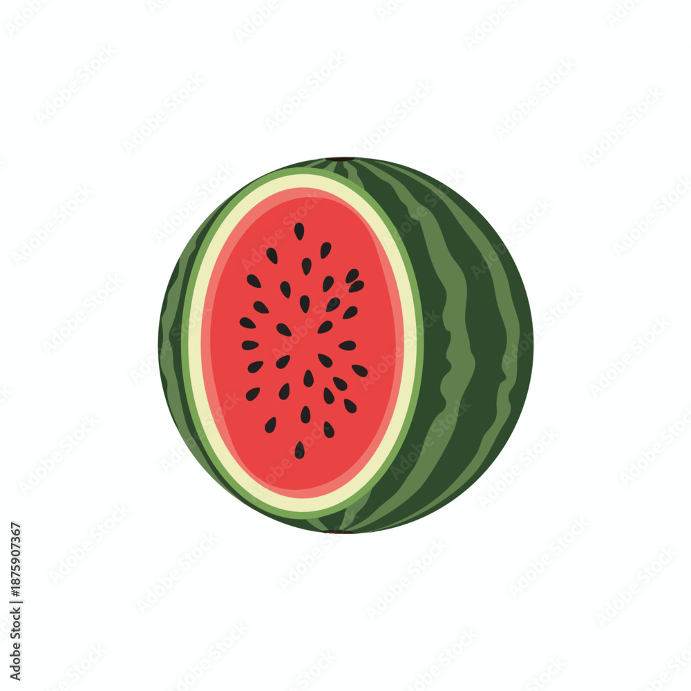 Fototapeta premium Fresh Watermelon Slice Illustration
